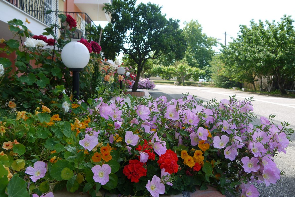 Fani Hotel Outdoor